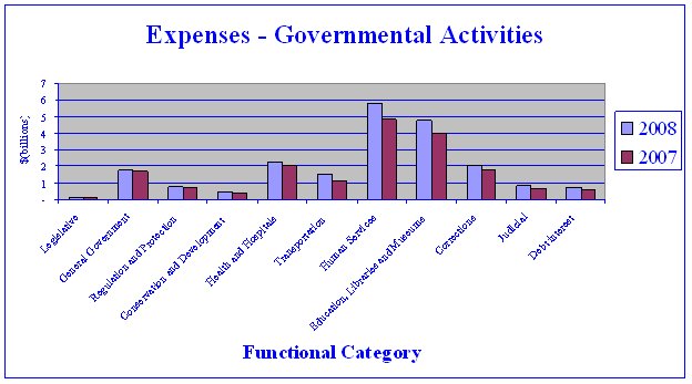 expenses - governmental activities