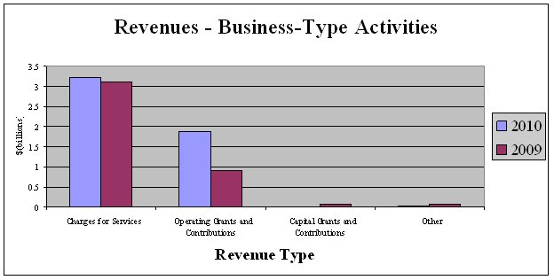 Revenues - business type activities by revenue type