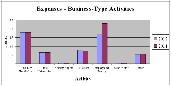 Expenses -  Business Type Activities