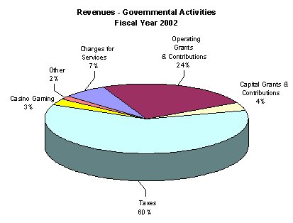 Revenues Governmental Activities Fiscal Year 2002
