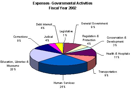 Expenses - Governmental Activities Fiscal Year 2002