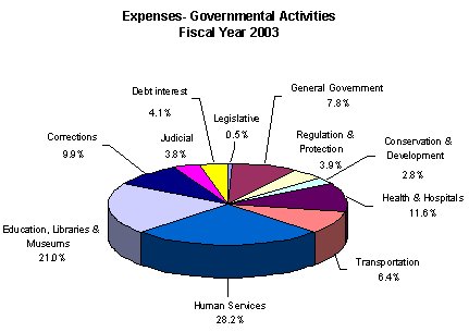 Expenses Governmental Activities Fiscal Year 2003 - click here for text description