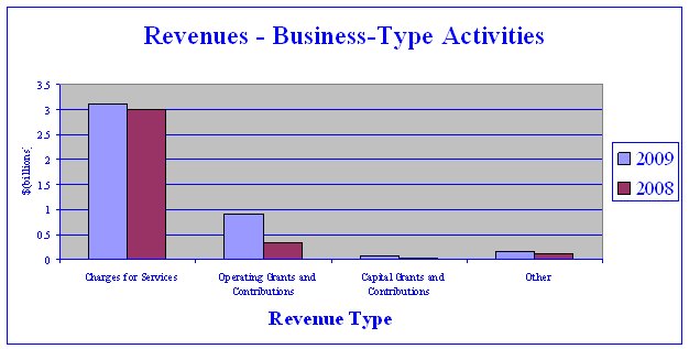 Revenues - Business Type Activities - 2009/2008